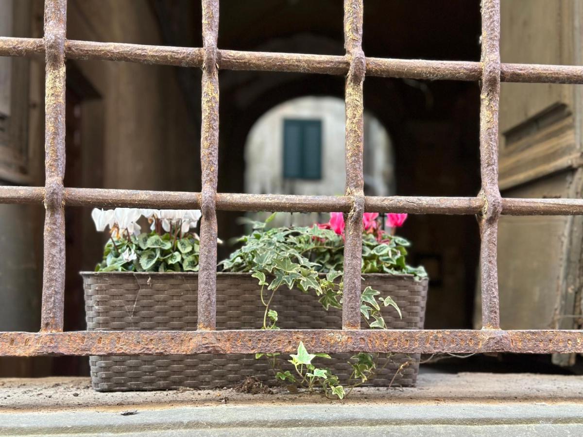 In Centro Lovely Home Lucca Exterior foto